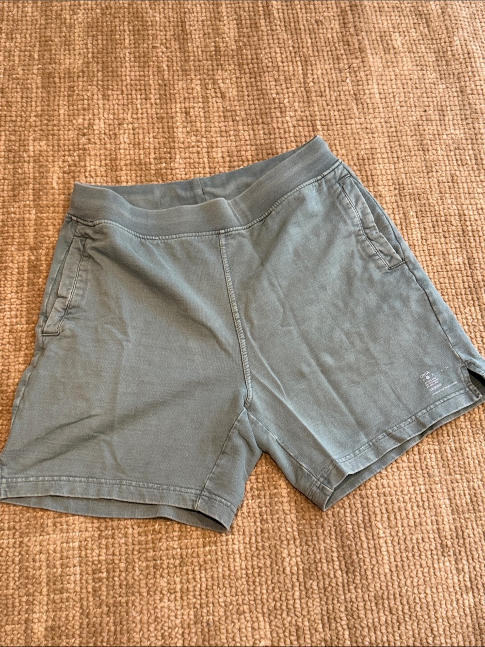 Onia Men's Athletic Shorts in Sage Green